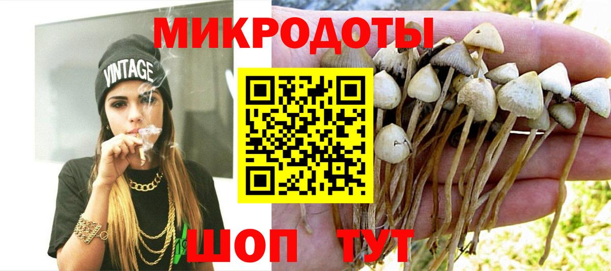 Балашов  Галлюциногенные грибы мицелий  Вход с VPN 