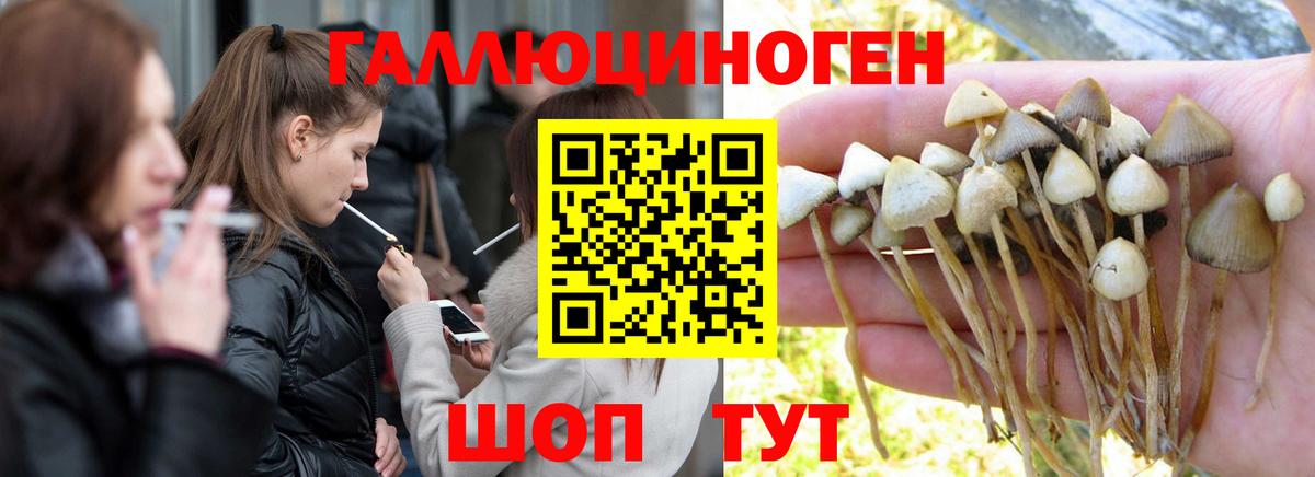 Галлюциногенные грибы мицелий Балашов